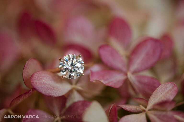 01 pink wedding details 1(pp w768 h511) - Adriana + Chris | Phipps Conservatory Wedding Photos