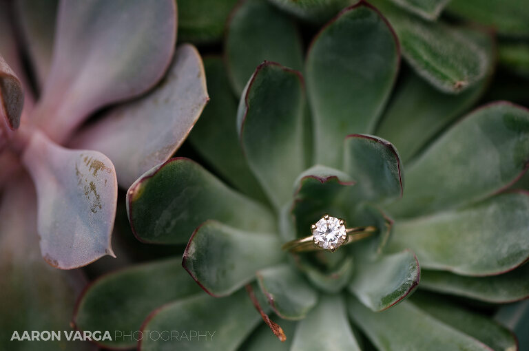 01 engagement ring photo(pp w768 h510) - Theresa + Matt | Shannopin Country Club Wedding Photos