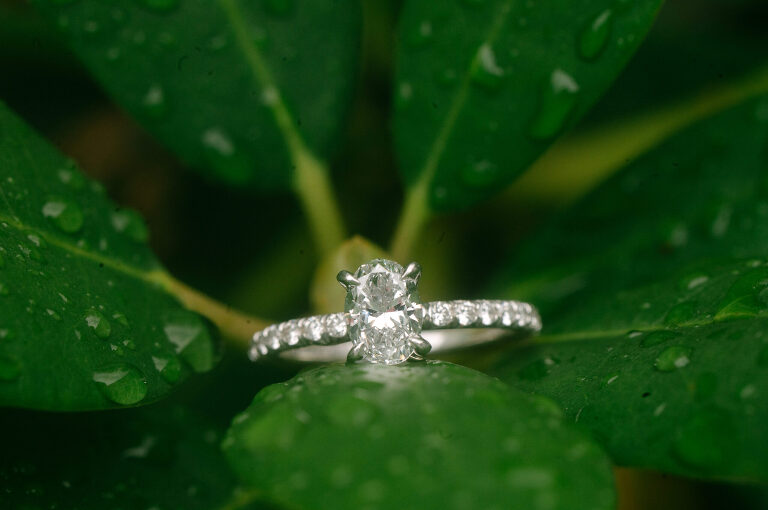 02 gardens of stonebridge wedding ring scaled(pp w768 h510) - Alyssa + Allie | Gardens of Stonebridge Wedding Photos