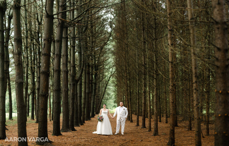 48 stonebridge farm wedding photo(pp w768 h490) - Alyssa + Allie | Gardens of Stonebridge Wedding Photos