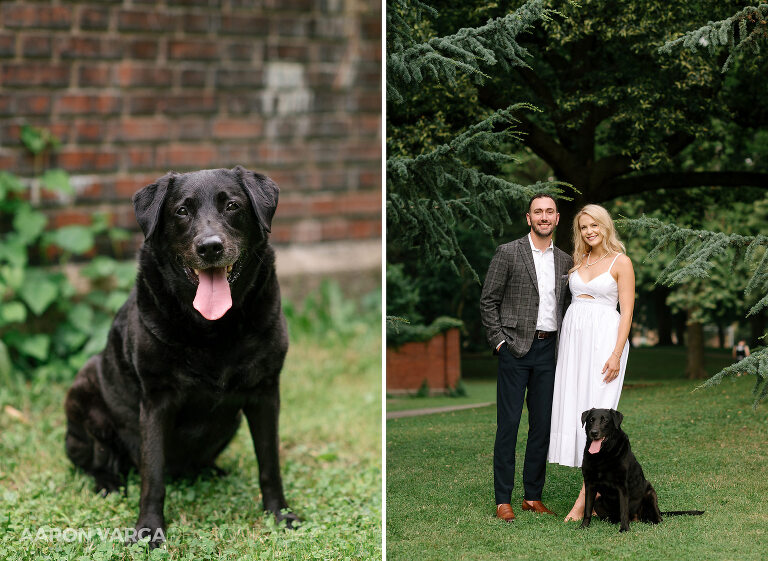 15 anniversary photos with dog pittsburgh(pp w768 h561) - Carolyn + Mark | North Side Anniversary Photos