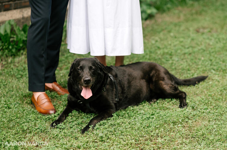 16 pittsburgh anniversary photos with dog(pp w768 h510) - Carolyn + Mark | North Side Anniversary Photos