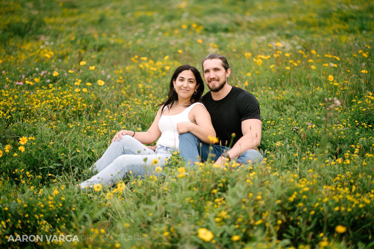 22 north park yellow flower field(pp w768 h511) - Maria + Daniel | North Park Engagement Photos