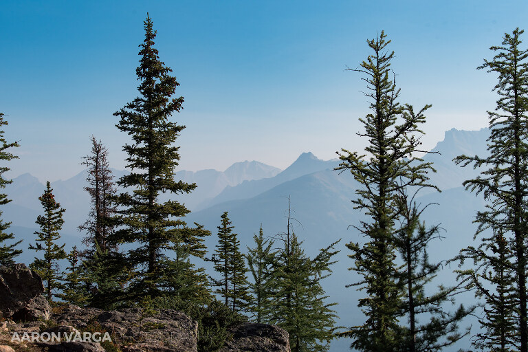 66 banff lake louise photographers(pp w768 h512) - Banff National Park, Canadian Rockies