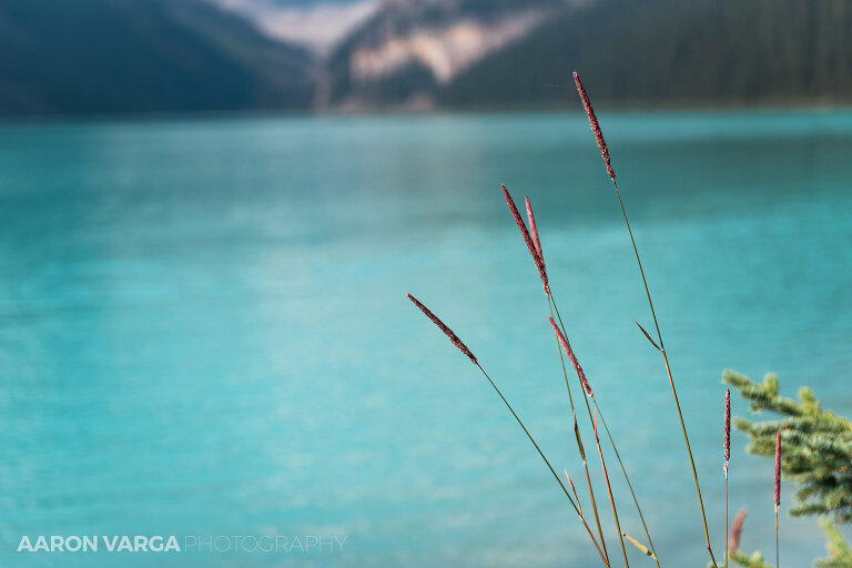 71 banff lake louise photographers(pp w768 h512) - Banff National Park, Canadian Rockies