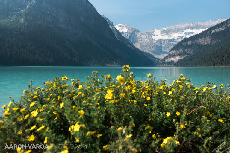 74 banff lake louise photographers(pp w768 h512) - Banff National Park, Canadian Rockies