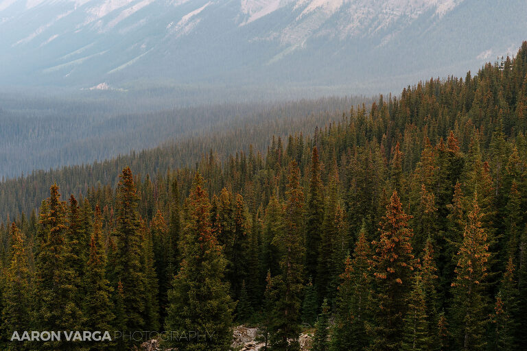 83 banff icefields parkway photographers(pp w768 h512) - Banff National Park, Canadian Rockies