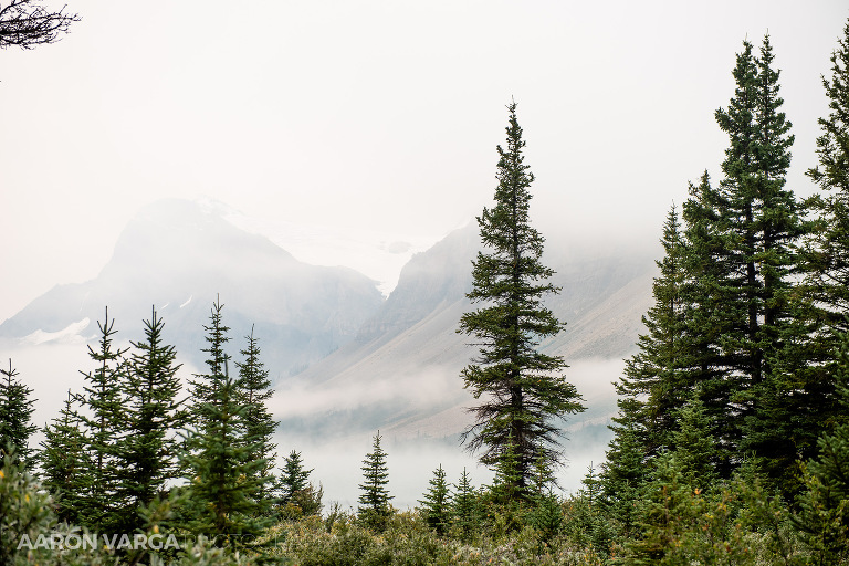 84 banff icefields parkway photographers(pp w768 h512) - Banff National Park, Canadian Rockies