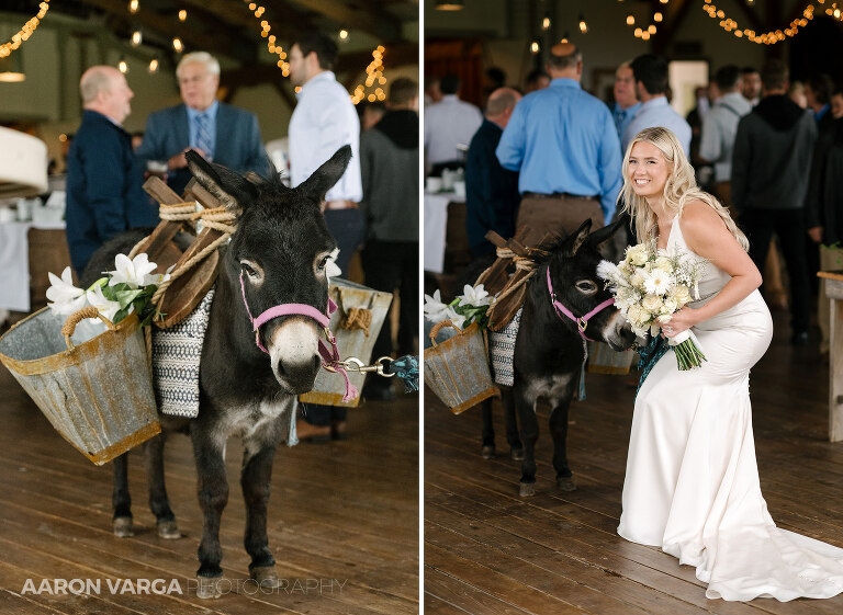 42 Hayloft Wedding Rockwood(pp w768 h561) - Kait + Connor | The Hayloft Wedding Photos