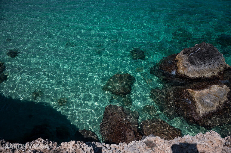 24 Monopoli Ostuni Puglia Italy 1(pp w768 h511) - Monopoli and Ostuni, Puglia, Italy