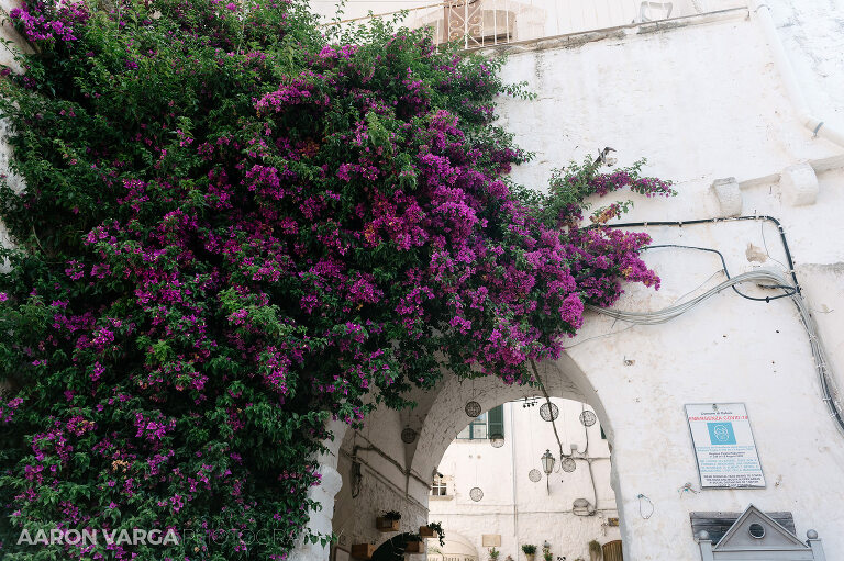 36 Monopoli Ostuni Puglia Italy(pp w768 h511) - Monopoli and Ostuni, Puglia, Italy