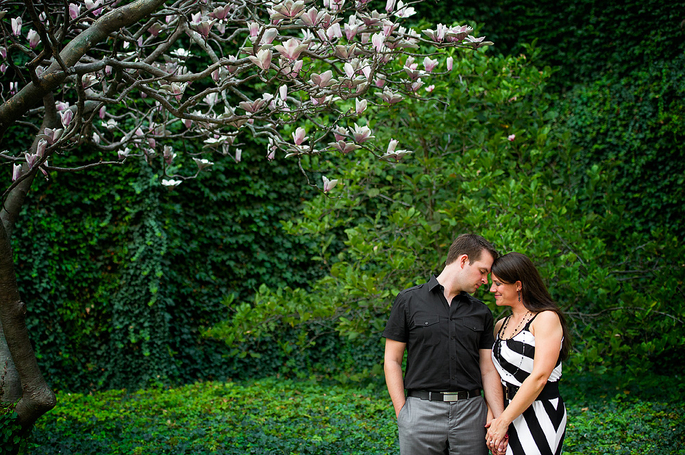 Couple beneath a flowering tree beside an ivy-covered wall