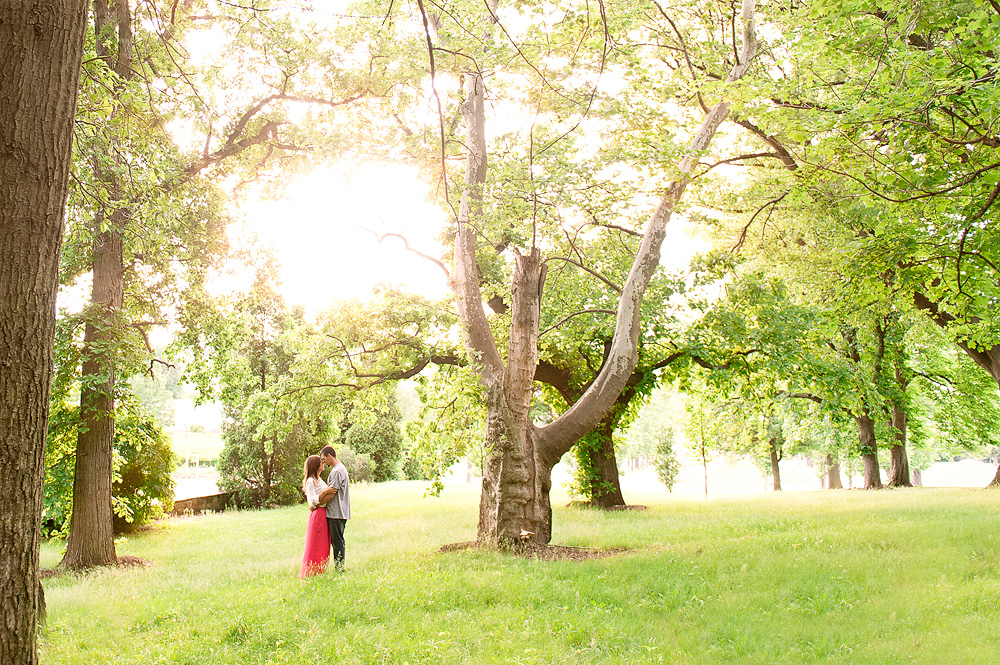 Couple standing beneath large trees in a sunlit park