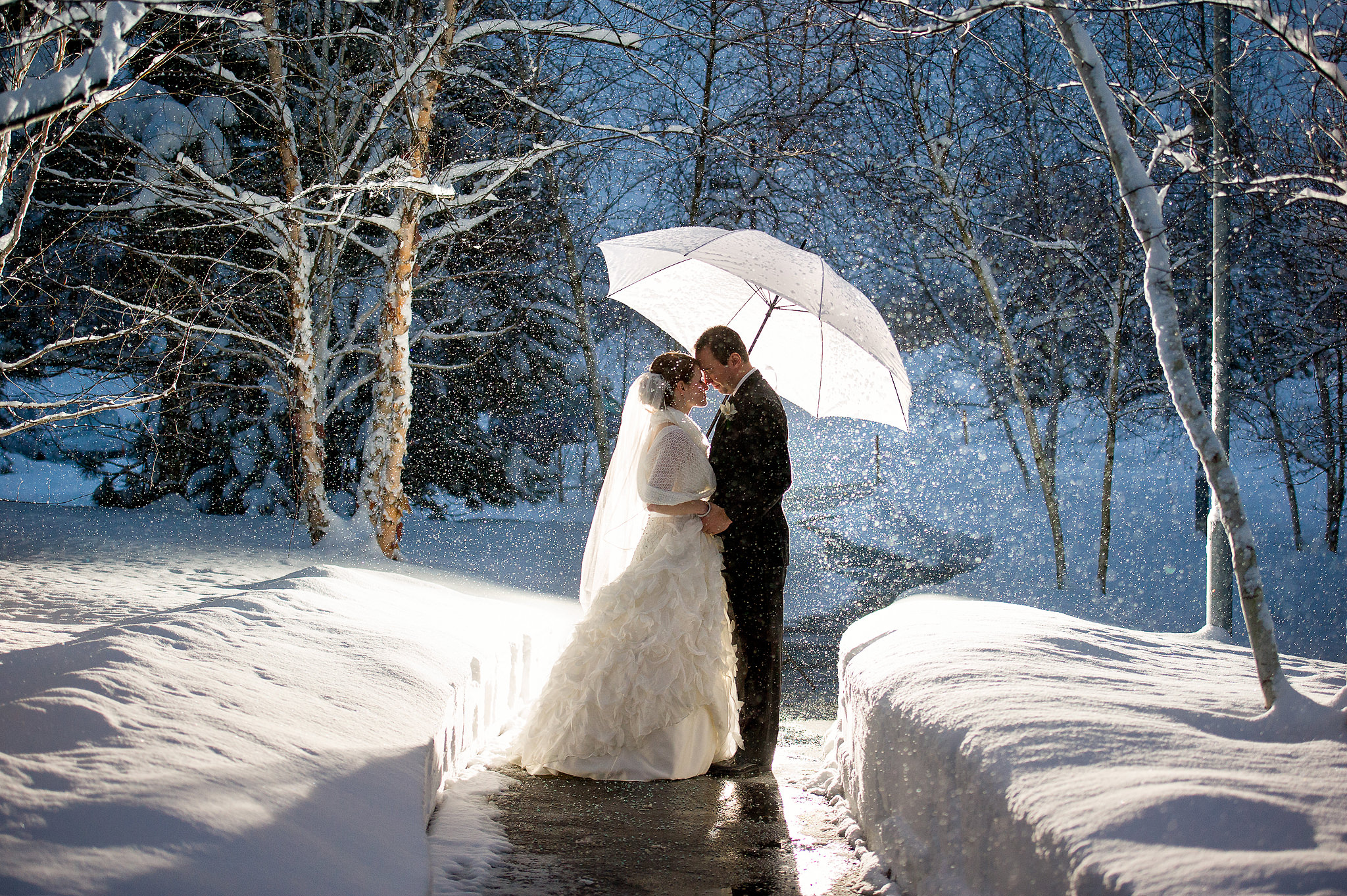 Wedding couple kissing beneath an umbrella in a snowy landscape