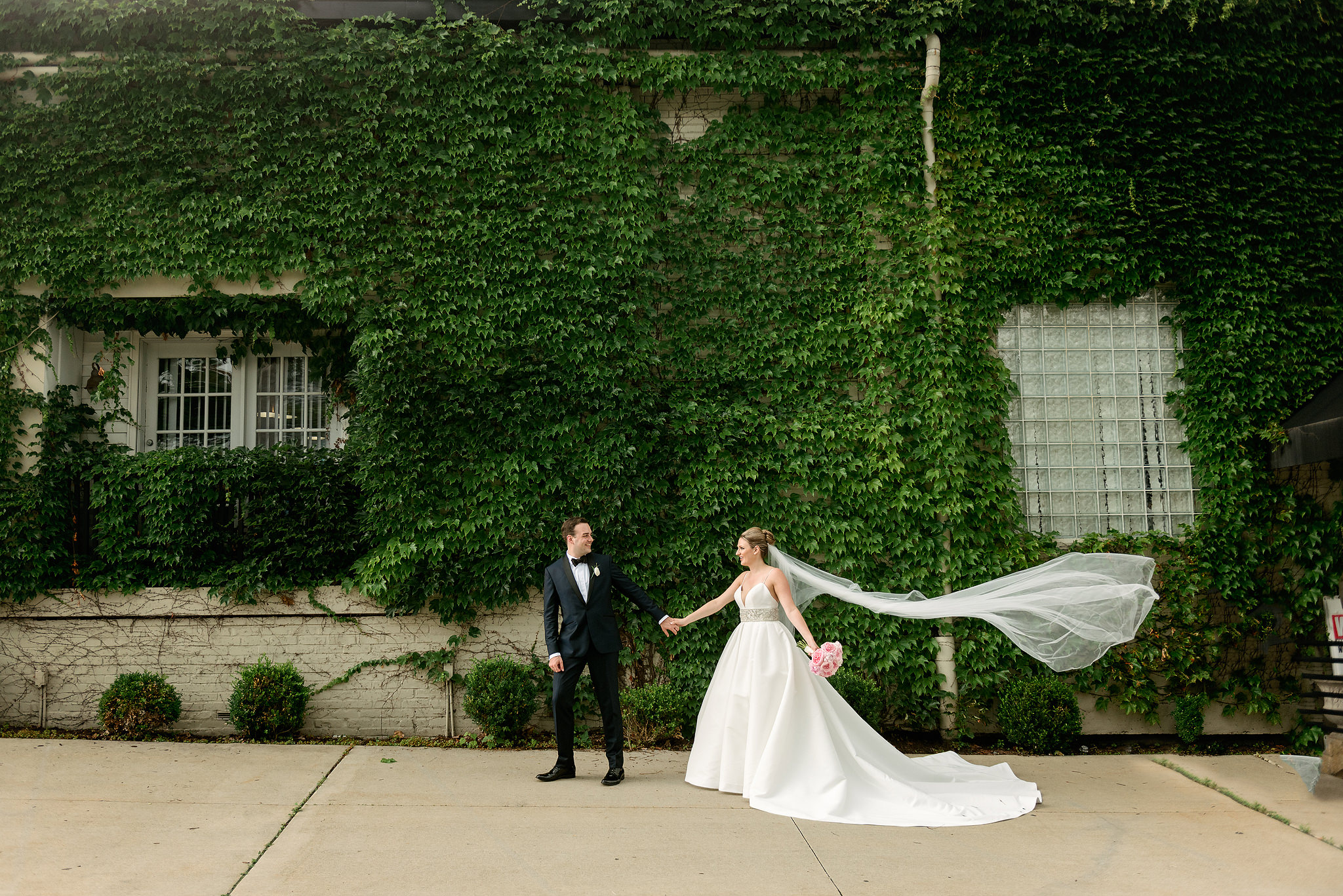 Groom holding the bride's flowing veil before an ivy-covered wall