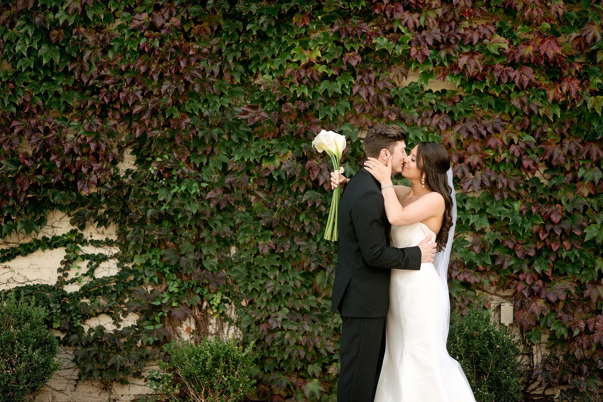 Newlyweds kissing before an ivy-covered wall at J. Verno Studios