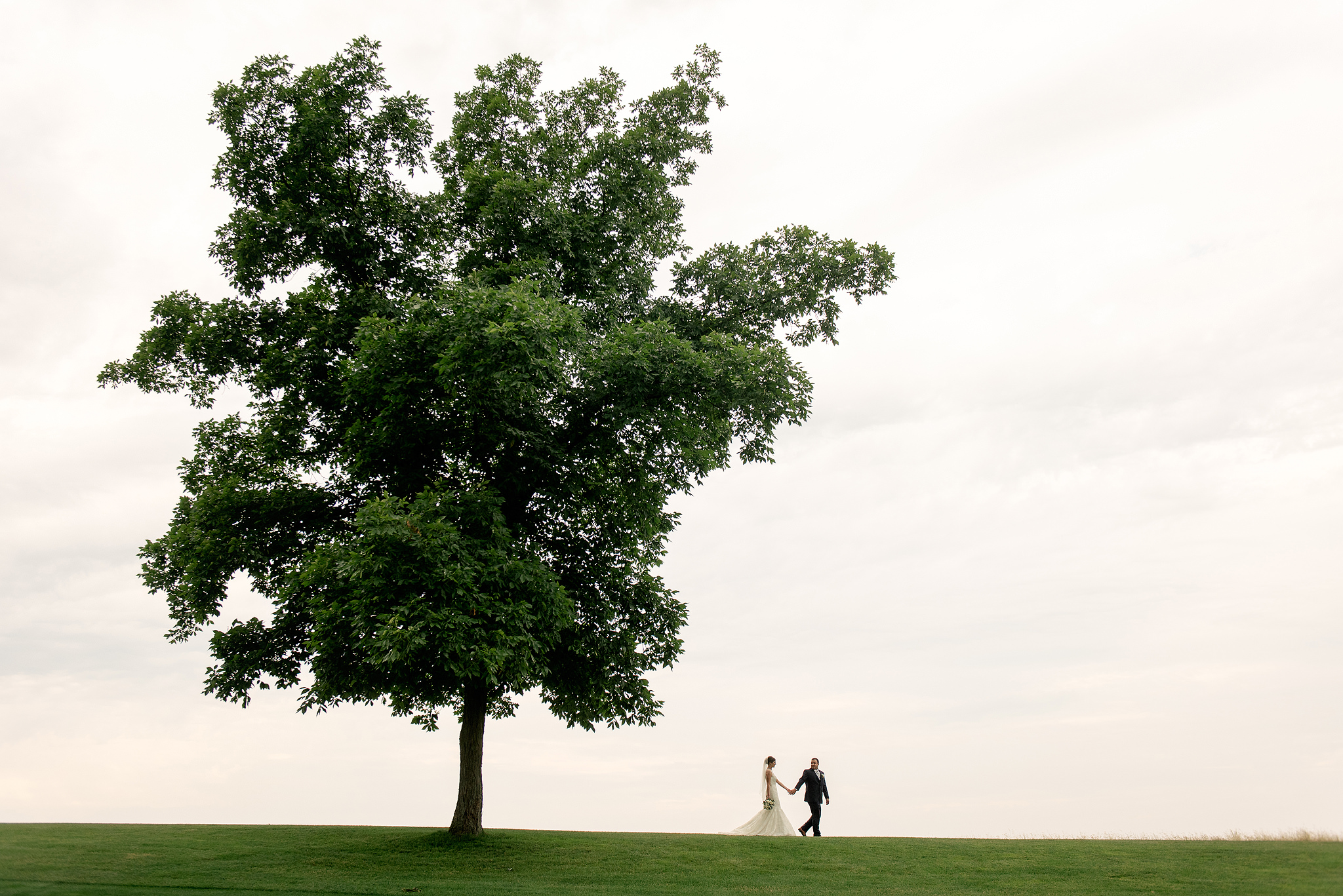 Wedding couple walking beneath a lone tree at Longue Vue Club