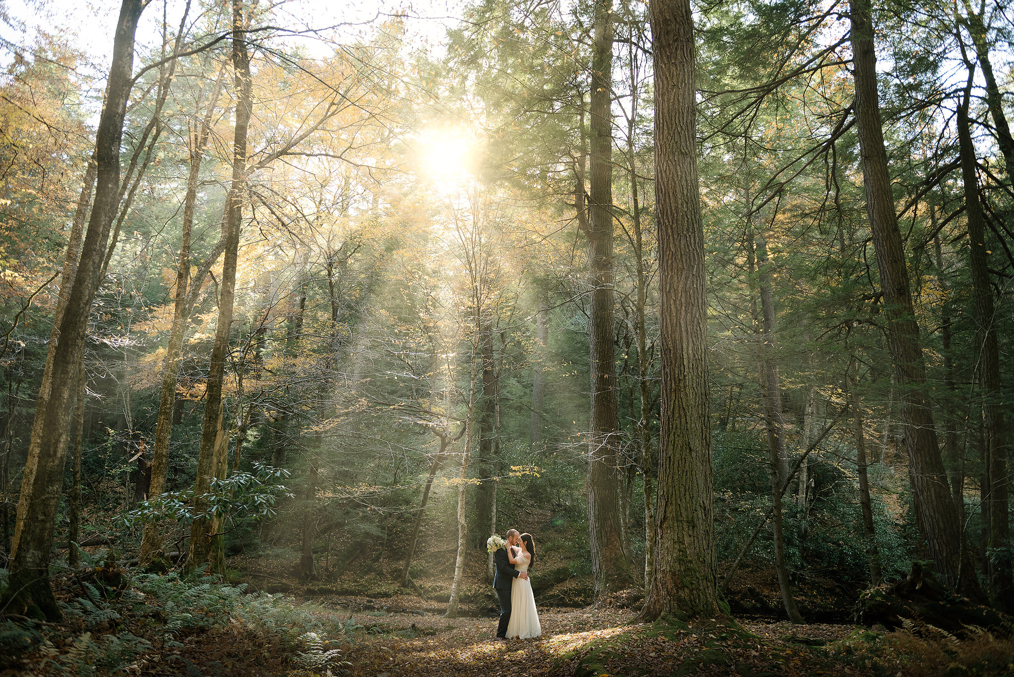 Wedding couple in sunbeams among tall trees at Cook Forest State Park